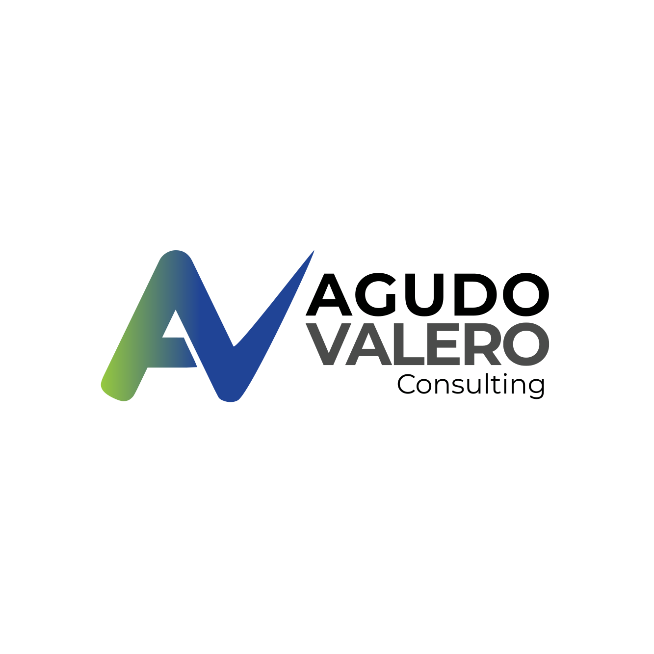 Logotipo de Consulting Agudo Valero